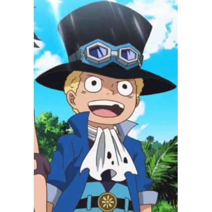 AA-One Piece Mdel Revolutionary Army's chief SABO AA-One Piece Mdel Revolutionary Army's chief SABO